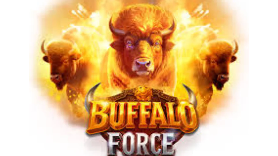 Casinolab-buffalo-force